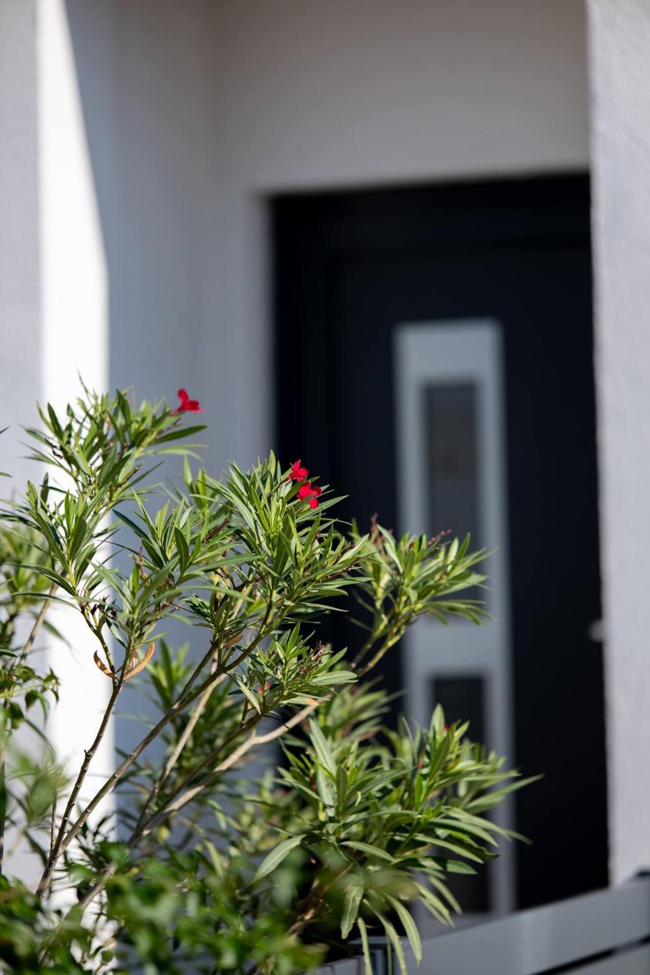 Villa Essenza - Luksuzne Kuce Za Odmor Vodice Eksteriør billede